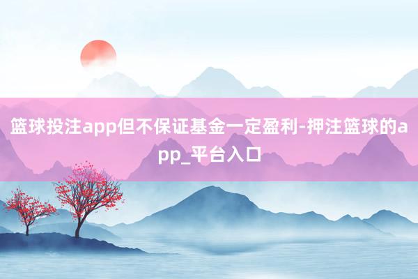 篮球投注app但不保证基金一定盈利-押注篮球的app_平台入口