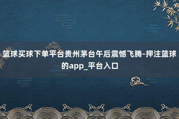 篮球买球下单平台贵州茅台午后震憾飞腾-押注篮球的app_平台入口