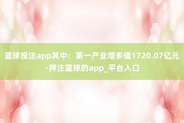 篮球投注app其中：第一产业增多值1720.07亿元-押注篮球的app_平台入口