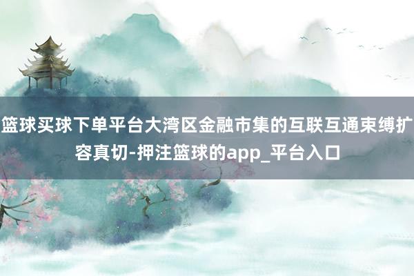 篮球买球下单平台大湾区金融市集的互联互通束缚扩容真切-押注篮球的app_平台入口