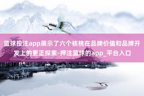 篮球投注app展示了六个核桃在品牌价值和品牌开发上的更正探索-押注篮球的app_平台入口