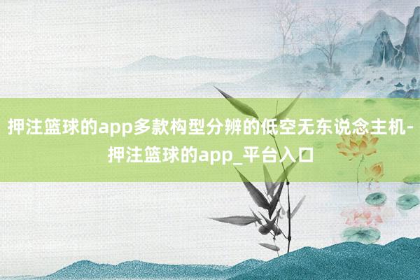 押注篮球的app多款构型分辨的低空无东说念主机-押注篮球的app_平台入口