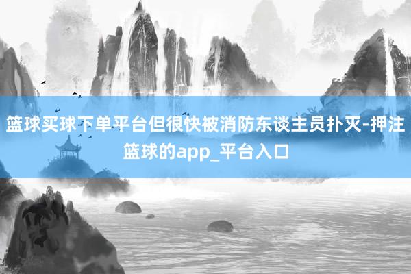 篮球买球下单平台但很快被消防东谈主员扑灭-押注篮球的app_平台入口