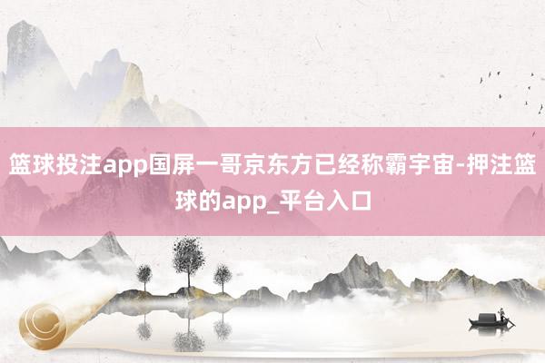 篮球投注app国屏一哥京东方已经称霸宇宙-押注篮球的app_平台入口