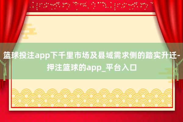 篮球投注app下千里市场及县域需求侧的踏实升迁-押注篮球的app_平台入口