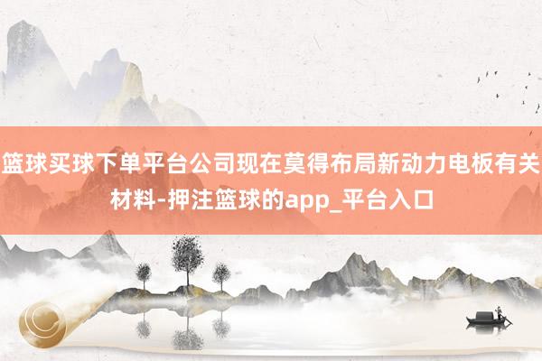 篮球买球下单平台公司现在莫得布局新动力电板有关材料-押注篮球的app_平台入口