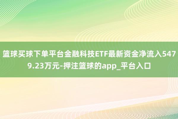 篮球买球下单平台金融科技ETF最新资金净流入5479.23万元-押注篮球的app_平台入口