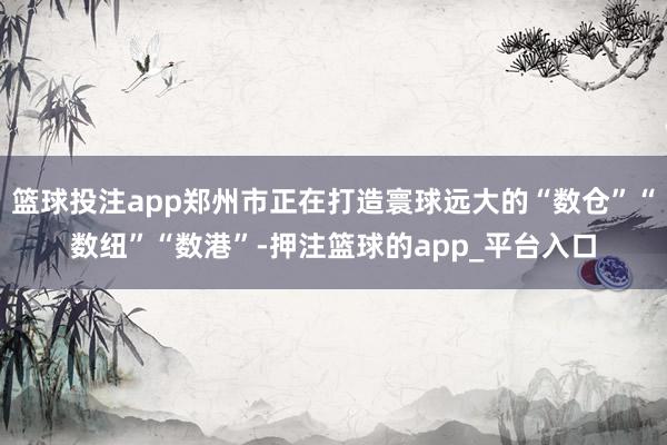 篮球投注app郑州市正在打造寰球远大的“数仓”“数纽”“数港”-押注篮球的app_平台入口