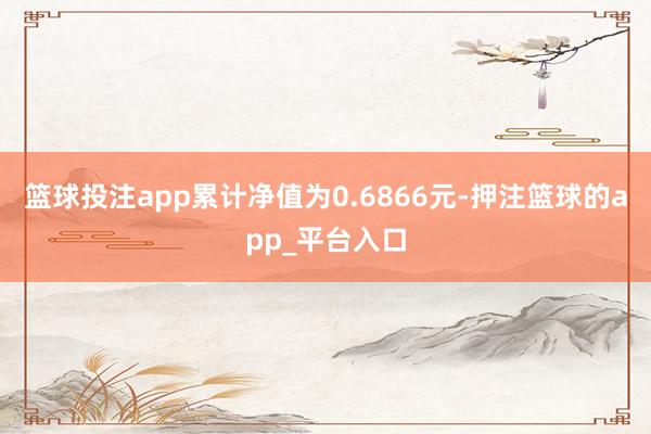 篮球投注app累计净值为0.6866元-押注篮球的app_平台入口