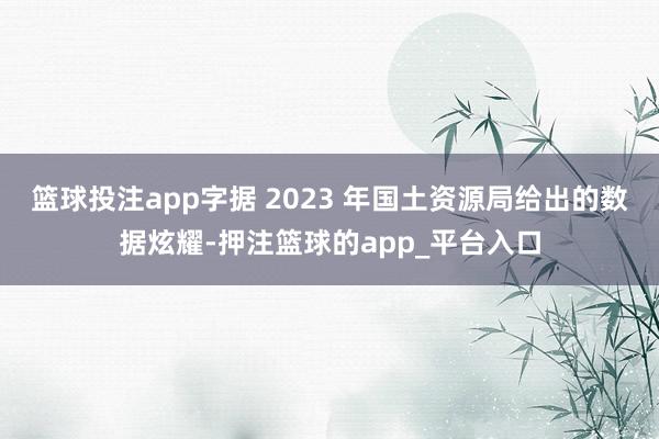 篮球投注app字据 2023 年国土资源局给出的数据炫耀-押注篮球的app_平台入口