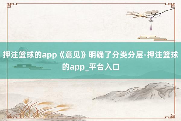 押注篮球的app《意见》明确了分类分层-押注篮球的app_平台入口