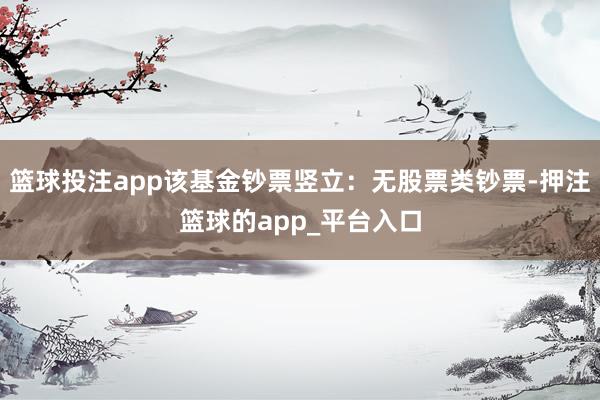 篮球投注app该基金钞票竖立：无股票类钞票-押注篮球的app_平台入口