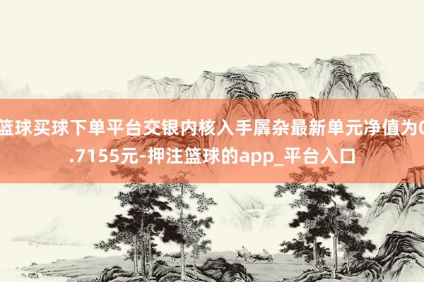 篮球买球下单平台交银内核入手羼杂最新单元净值为0.7155元-押注篮球的app_平台入口