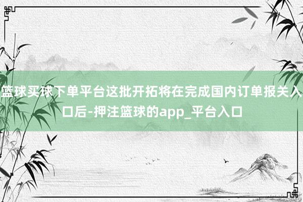 篮球买球下单平台这批开拓将在完成国内订单报关入口后-押注篮球的app_平台入口