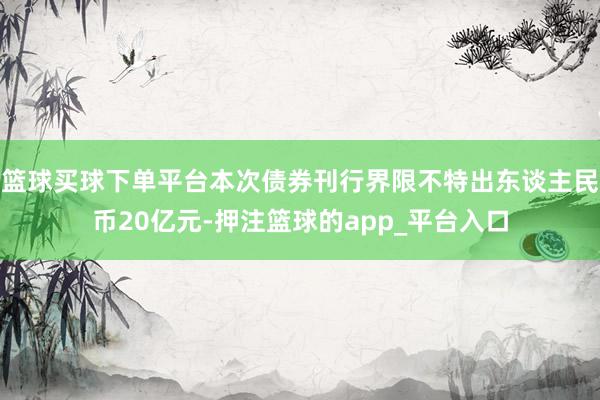 篮球买球下单平台本次债券刊行界限不特出东谈主民币20亿元-押注篮球的app_平台入口