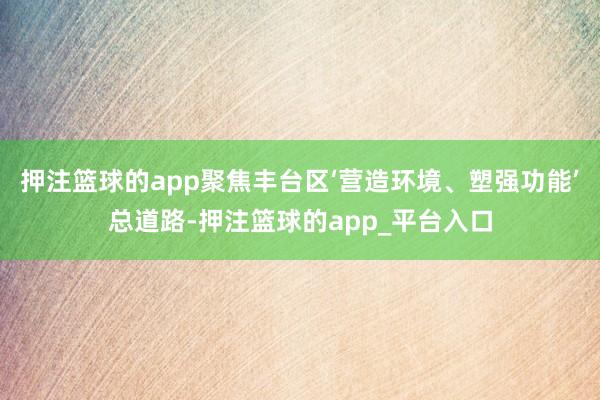 押注篮球的app聚焦丰台区‘营造环境、塑强功能’总道路-押注篮球的app_平台入口