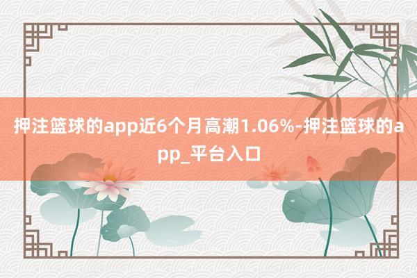 押注篮球的app近6个月高潮1.06%-押注篮球的app_平台入口