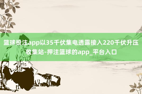 篮球投注app以35千伏集电透露接入220千伏升压收集站-押注篮球的app_平台入口