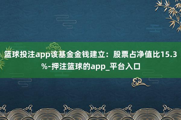 篮球投注app该基金金钱建立：股票占净值比15.3%-押注篮球的app_平台入口